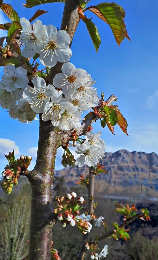La Casuca Nandin Villa Arredondo Dış mekan fotoğraf